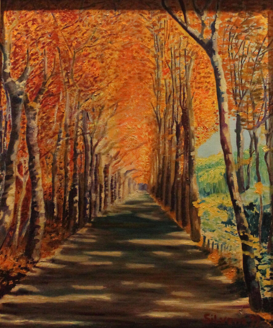 Strada Alberata in Provenza 50x60cm